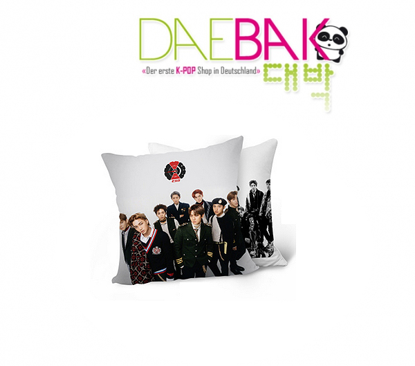 exo-tempo-pillow